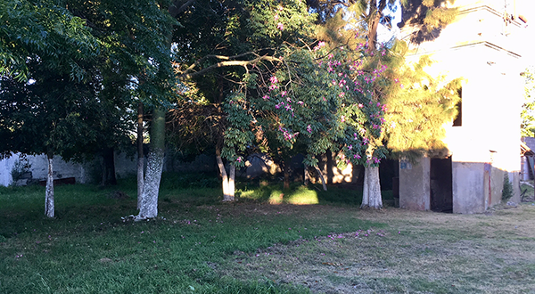 Local Industrial en Punta Rieles, Montevideo